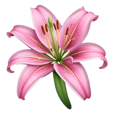 Aesthetic pink lily sticker