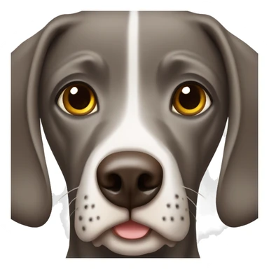 German short-haired  pointer with brown eyes sticker