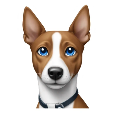 Black and white Basenji with blue eyes ￼ sticker