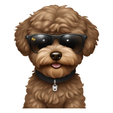 Dark brown maltipoo with sunglasses  sticker