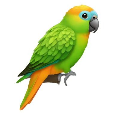 Orange-fronted Parakeet  sticker