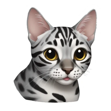 Grey bengal cat with black and white  cat sticker