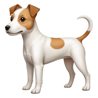 a full body white parson russell looking dog the size of a kelpie with light brown ears and a light brown patch on one eye and a large snout sticker