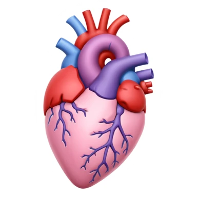 soft pastel pink anatomic heart with a hint of lavender sticker