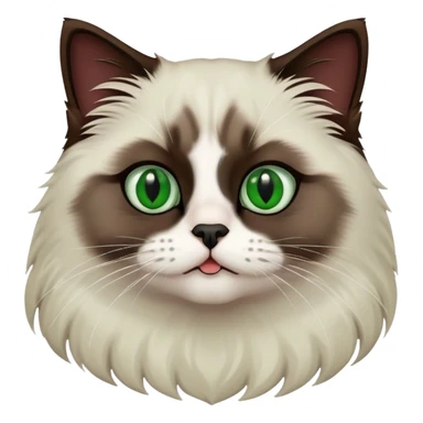 Dark Brown ragdoll cat with a white chest and green eyes and a black nose and mouth sticker