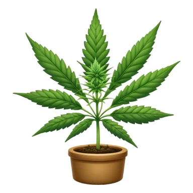 Cannabis sticker