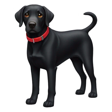 Black Labrador dog with red collar  sticker