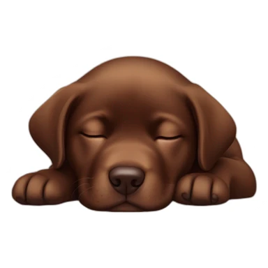 cute sleeping puppie chocolate labrador sticker