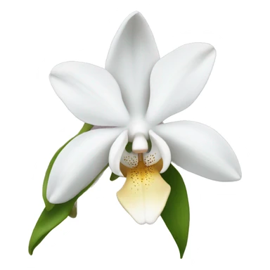 white orchid flower sticker