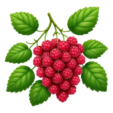 rasperry bush sticker