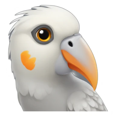 grey female cockatiel with orange cheek sticker