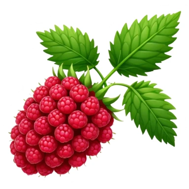 Single stem of raspberries without berries sticker