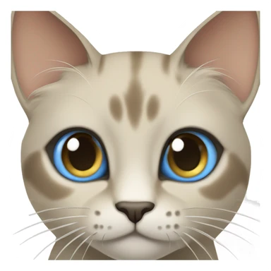 Thai breed cat with a light cream-brown body, dark gray face, ears, and paws. Short fur, sharp ears, and striking light blue eyes with an intense gaze. sticker