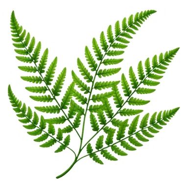 Fern leave sticker