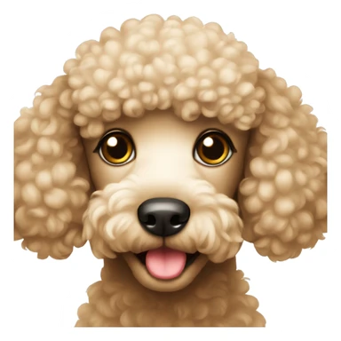 Cute poodle  sticker