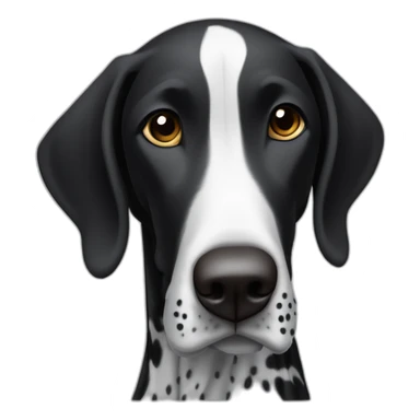 black german shorthair pointer, full black head, without white on the head, with white hair on the snout, black and white spotted body sticker