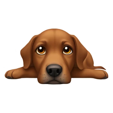 Brown dog resting indoors peacefully sticker