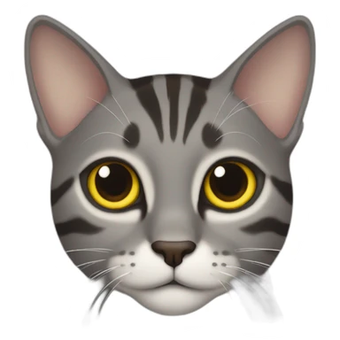 dark gray tabby cat with yellow eyes, black nose, some brown around mouth, brown around mouth, half of left ear missing sticker