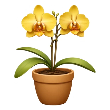 yellow Orchid in a clay pot sticker