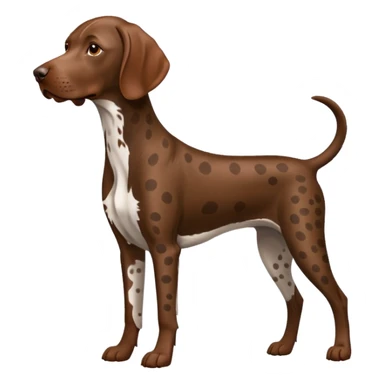 orange spotted german short haired pointer sticker