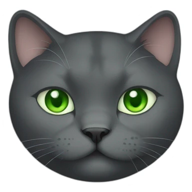 dark grey fat cat with green eyes happy sticker