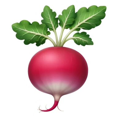 radish UK plant with a bit of white on the bottom of the radish sticker