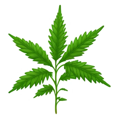 Marijuana plant  sticker