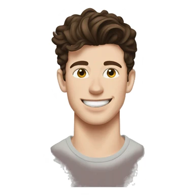 Shawn Mendes  sticker