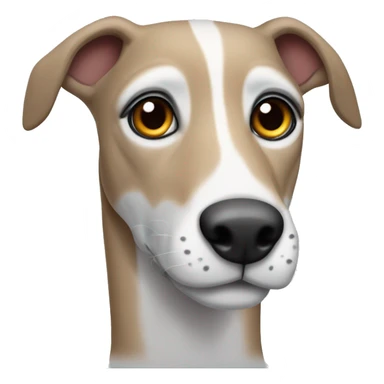 fawn tiger greyhound with grey and white face sticker