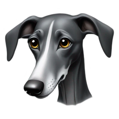 Black galgo with grey snoot sticker