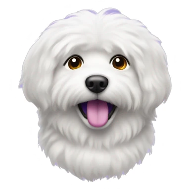 white fluffy dog with a purple collor sticker