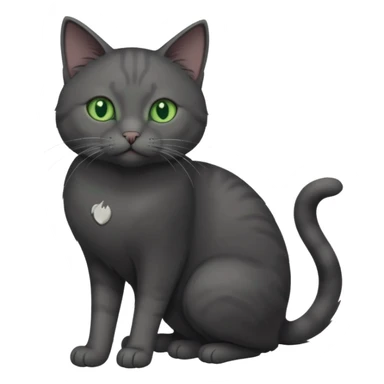 full body gorgeous solid dark grey cat with green eyes, white paws and white whiskers playing sticker