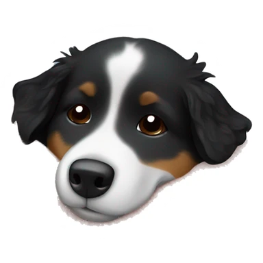 Small black australian shepherd dog sleeping with knit blanket  sticker