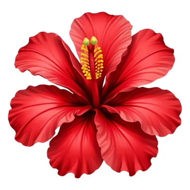 Hibiscus flowers ￼ sticker