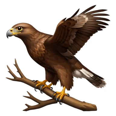 Common Buzzard sticker