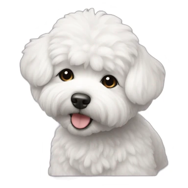 Bichon havanais black sticker