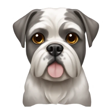 Shih tzu grey and white and pit bull that's brindle together sticker