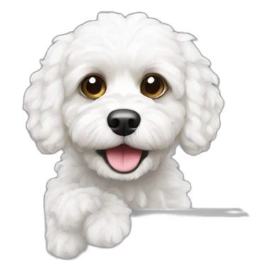 All White cavapoo as an Burglar sticker