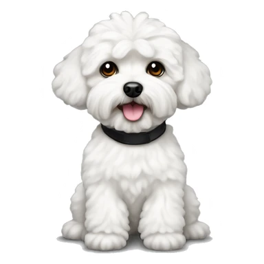 White maltipoo dog with left black ear  sticker