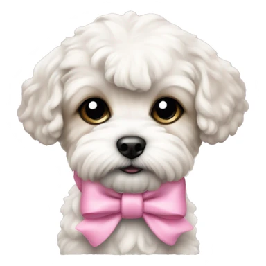 Schichon puppy pink bow sticker