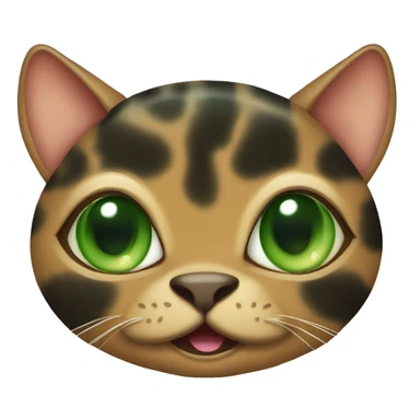 Green eyed tortoise shell cat with happy face sticker