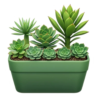 succulents in a long green planter sticker