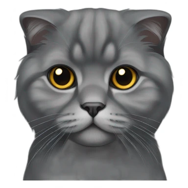 all dark grey Scottish Fold Cat long hair　fold ear sticker