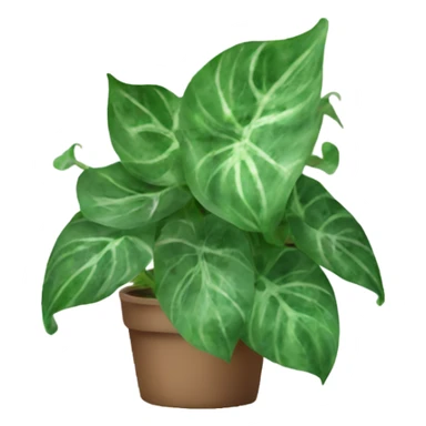Pothos plant marbled leaves  sticker