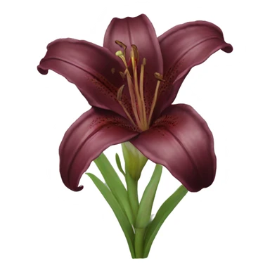 realistic burgundy lily sticker