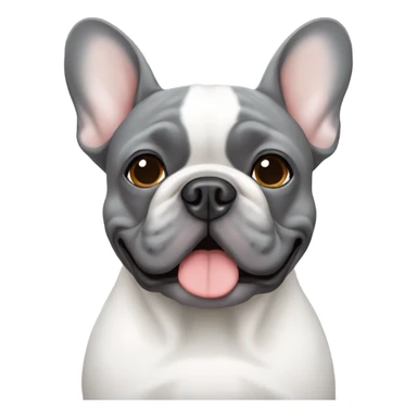 Grey French bulldog with white down the middle of the face sticker