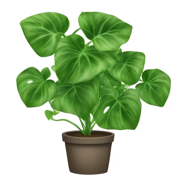 Pothos trailing plant sticker