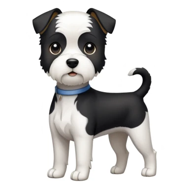 Full body photo of black and white terrier sticker