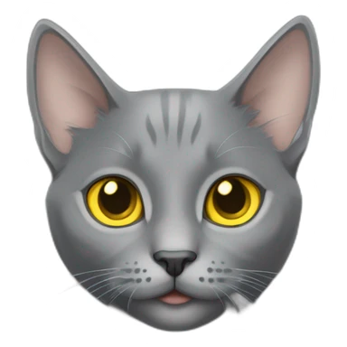 cuddly fluffy grey korat breed cat with yellow eyes black pupils, walking and playing female sticker