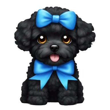 Black maltipoo with a blue bow sticker